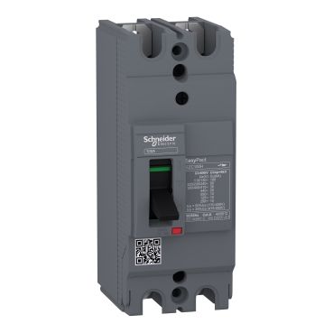 Автоматичний вимикач EASYPACT EZC100H 2P2T 30кА/415В 25A Schneider Electric