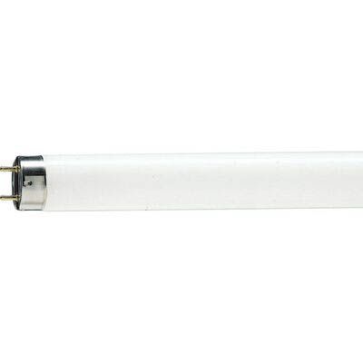 Лампа люмінесцентна PHILIPS TL-D 18W/33-640 1SL/25