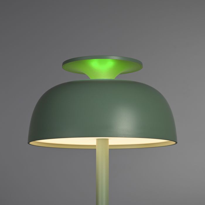 Лампа настiльна свiтлодiодна з акумулятором VIDEX VL-TF23G 8.5W 4000K+RGB Green, Videx