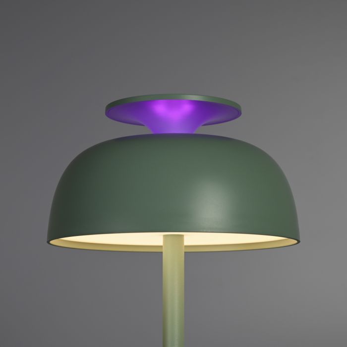 Лампа настiльна свiтлодiодна з акумулятором VIDEX VL-TF23G 8.5W 4000K+RGB Green, Videx