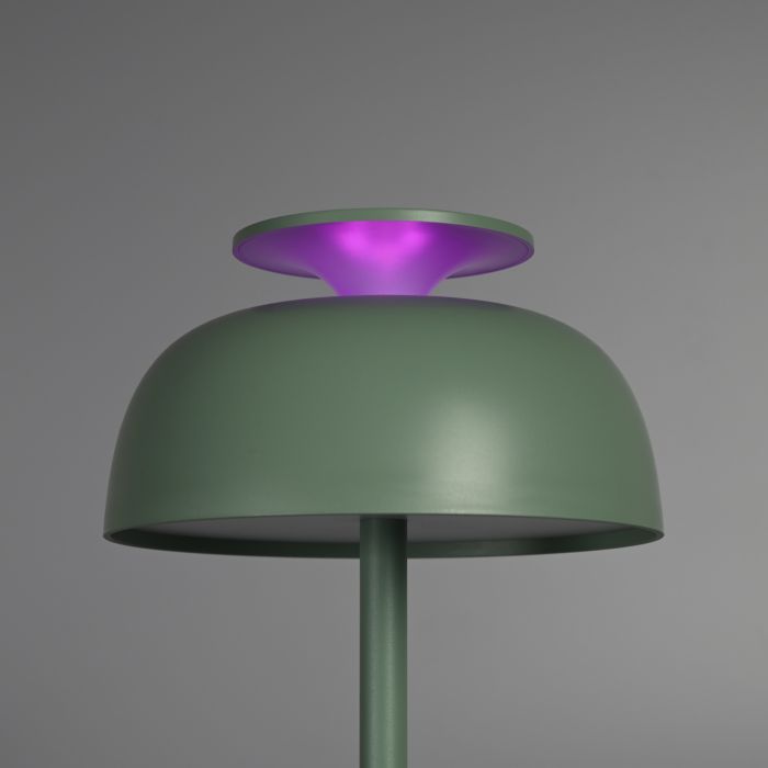 Лампа настiльна свiтлодiодна з акумулятором VL-TF24G 8W 4000K+RGB Green, Videx