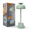Лампа настiльна свiтлодiодна з акумулятором VL-TF24G 8W 4000K+RGB Green, Videx